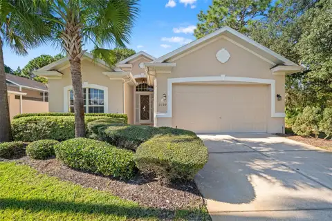 10199 HOLLY BERRY DR — home for sale
