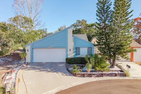 12234 CIDER MILL LN — home for sale