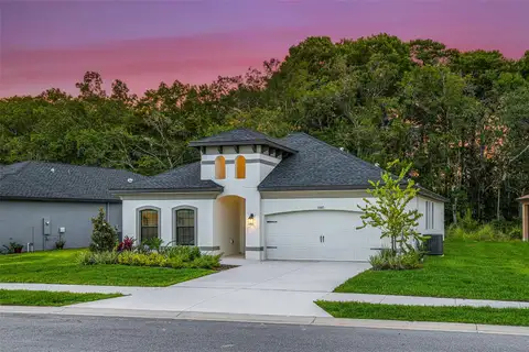 11335 STRIPED BASS CT — home for sale