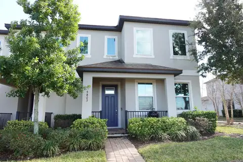 9803 AMBER CHESTNUT WAY — home for sale
