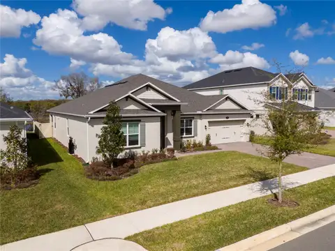 734 CREEPING FIG ST — home for sale