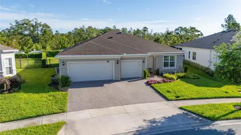 2873 CHERRY BLOSSOM LOOP — home for sale