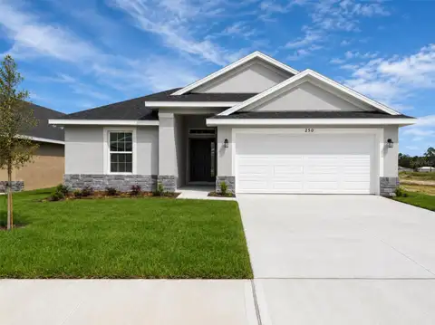 250 VERNY GROVE LN — home for sale
