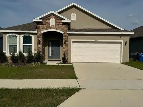 441 SILVER PALM DR — home for sale