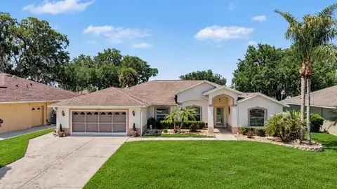 11132 MOSHIE LN — home for sale