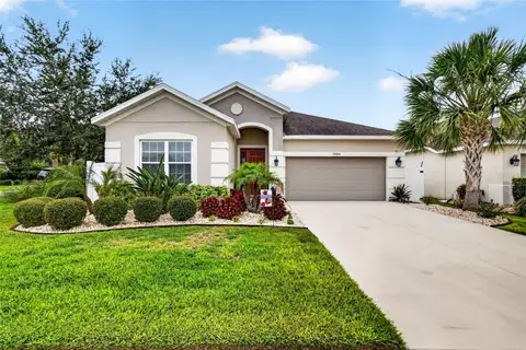 29894 CHAPEL CHASE DR — home for sale