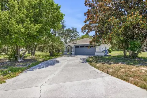 10186 SLEEPY WILLOW CT — home for sale