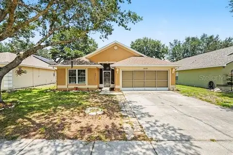 31331 SATINLEAF RUN — home for sale