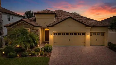 1353 PALMETTO DUNES ST — home for sale