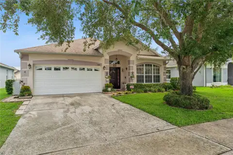 9955 MEDALLION BLUFF LN — home for sale