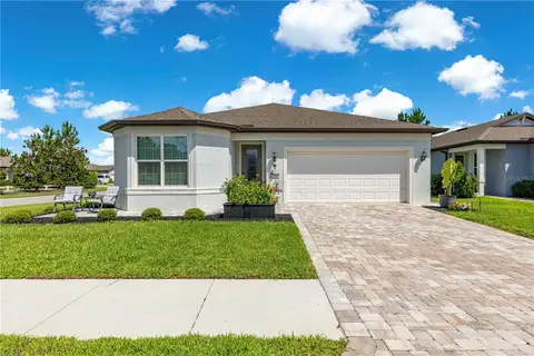 9295 SW 60TH LANE RD — home for sale