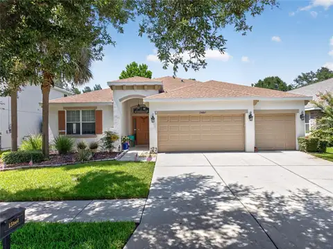 15601 STARLING WATER DR — home for sale