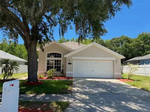 10104 BEEFMASTER CT — home for sale