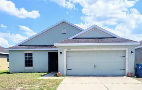 30990 SATINLEAF RUN — home for sale