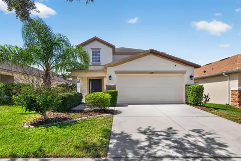 10717 SHADY PRESERVE DR — home for sale