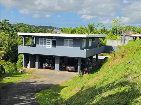 PR 900 BO GUAYABOTA — home for sale