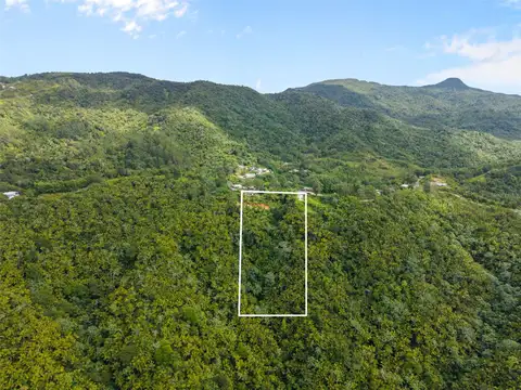 Carr 149 FINCA VILLA AZUL — home for sale