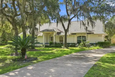 30116 APRICOT WAY — home for sale