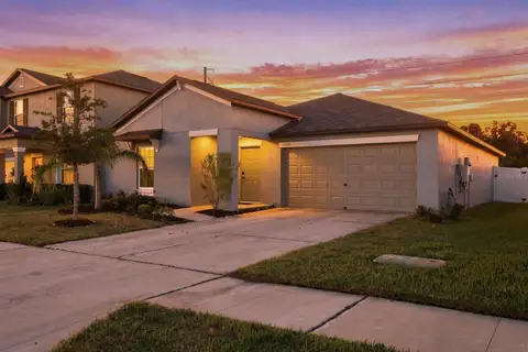 10358 SHADY PRESERVE DR — home for sale