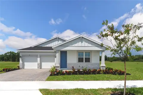 11118 NELLIE CROSSING CIR — home for sale