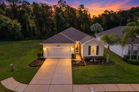 11438 MERGANSER WAY — home for sale
