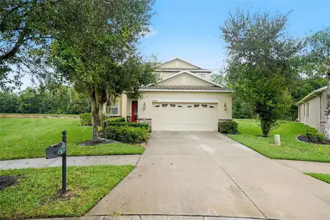 20443 AUTUMN FERN AVE — home for sale
