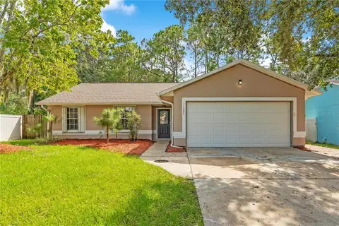11224 CYPRESS LEAF DR — home for sale