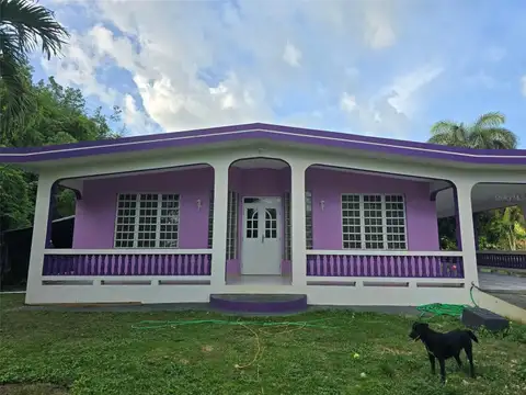 Carr 457 BO PLANAS SECTOR LA JUNGLA — home for sale
